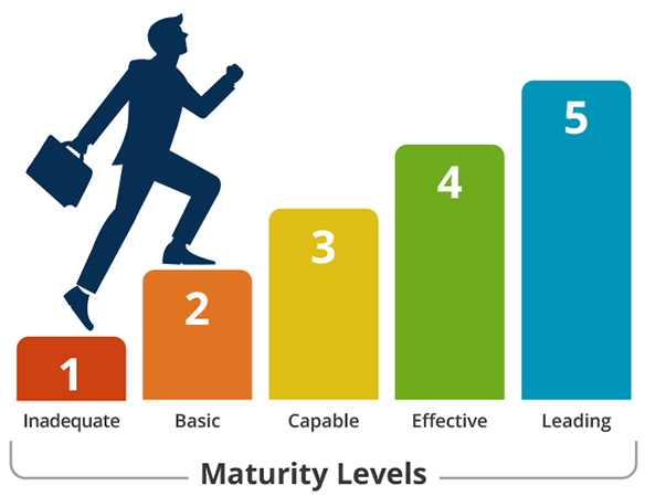 Maturity Model graphic